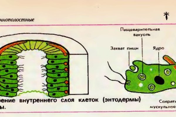 Кракен не грузит