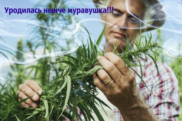 Ссылка на кракен зеркало