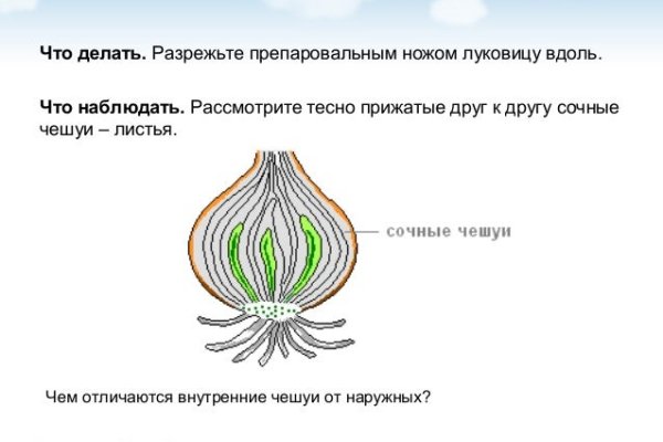 Кракен не заходит