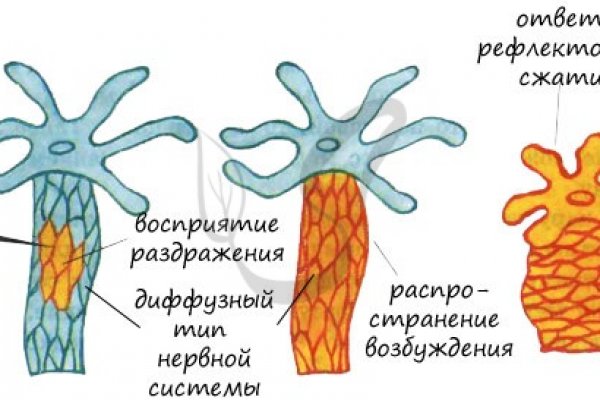Kraken ссылка зеркало krakentor site
