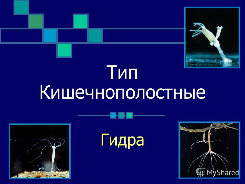 Кракен ссылка vtor