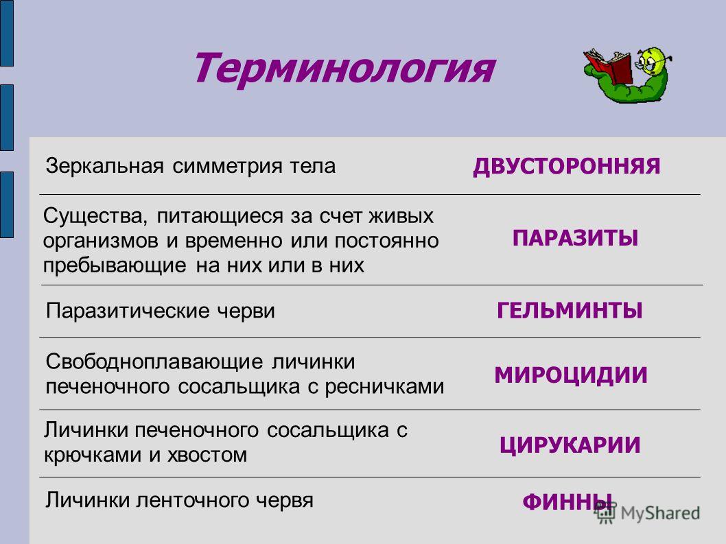 Украли аккаунт на кракене даркнет